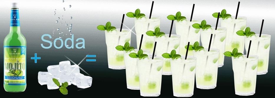 12 fertige Cocktails Mojito je Flasche - jetzt online kaufen